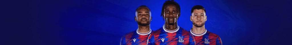 swordfish sudoku explained
